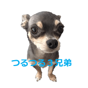 three brothers dog part 2