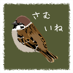 Oriental Sparrows2