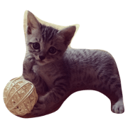 withcat