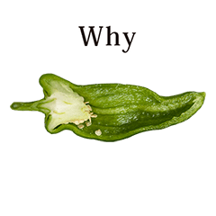 Coco And Wondrous Gang 14 Lineクリエイターズスタンプ Stamplist