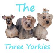 The Three Yorkies (EN)