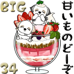 【Big】シーズー犬34『sweets どーぞ』
