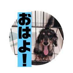 KERO_20210720121453
