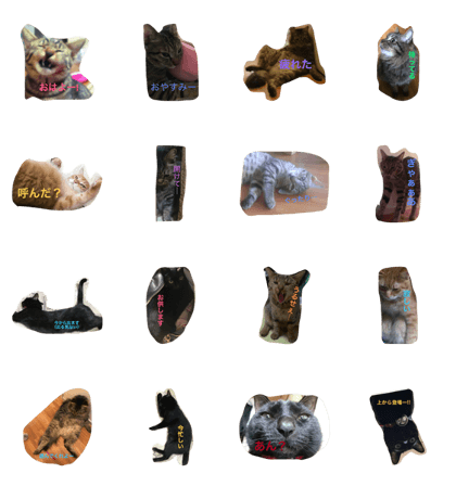 Cat's ugly