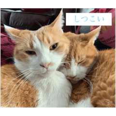 AKiKo_20210719120208