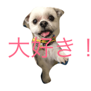 HIMETANHIMEHIME