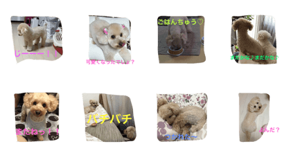 Luna's daily life part 2