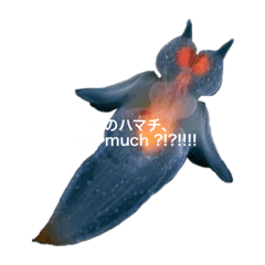 yun_20210720152346