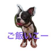 akotty