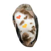 Heart mark