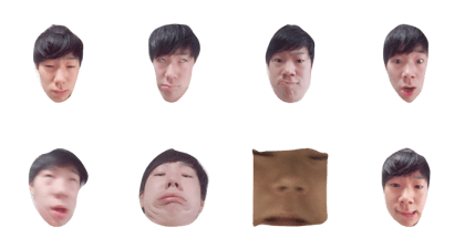 chimpanzee hiroto