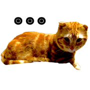 cat English manchikan