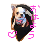 tanchikun