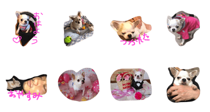 tanchikun