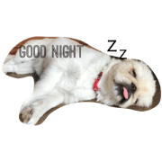peki!