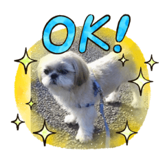 wanko_wanko