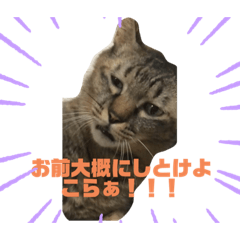 miki_20210720133039