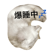 koyuchan