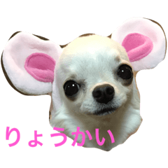 riritanyume