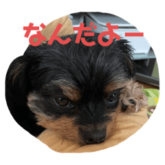 aoi_20210720205936