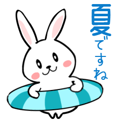 Cute rabbit summer