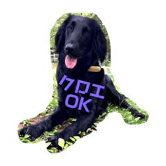 kazuki_20210719224634