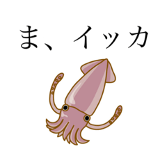 So_20210721084624