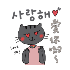 Miss Catty speaks Korean.