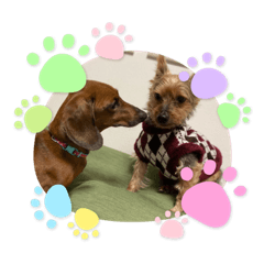 Tomomi_20210720184640