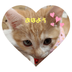 YUKARI_20210720204643