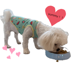 sayuri_20210720205538