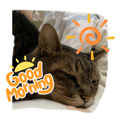 tomomi_20210720205817