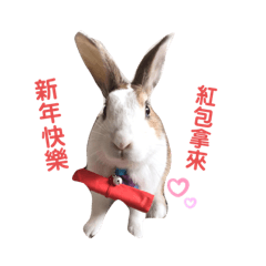 大家好我是咩咩