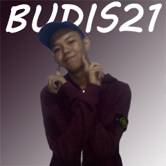 Budis21