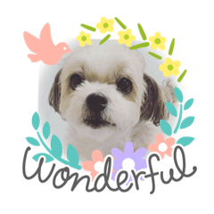 melon_20210721004751