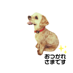 marupeki dog stamp