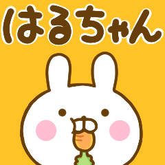 Rabbit Usahina haruchan