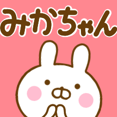 Rabbit Usahina mikachan