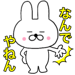 Kansai Rabbit 1