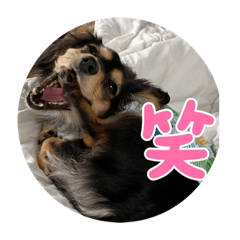 hana_20210721103658