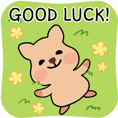 Quokka Wishing You All The Best!