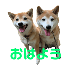 Hachi and Bunta_20210721014625