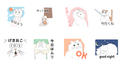 One day of a cat!