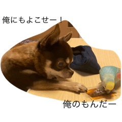 OUSUKE_20210721200328