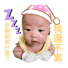 凡寶的日常