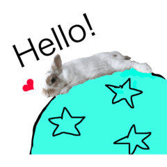 Cute rabbit Conito-san 5