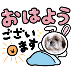 tomomi_20210721210916