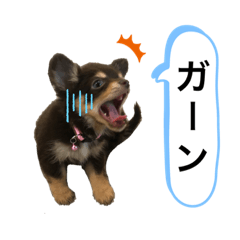 rei_20210721213515