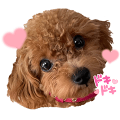naho_20210721220820