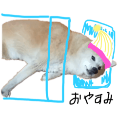 Seira_20210721232459